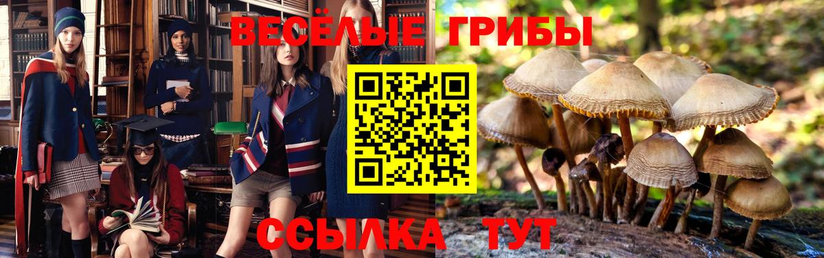 Мефедрон кристаллы  ГАШИШ  Конопля  Кыштым  ГАШ  Вход с VPN 